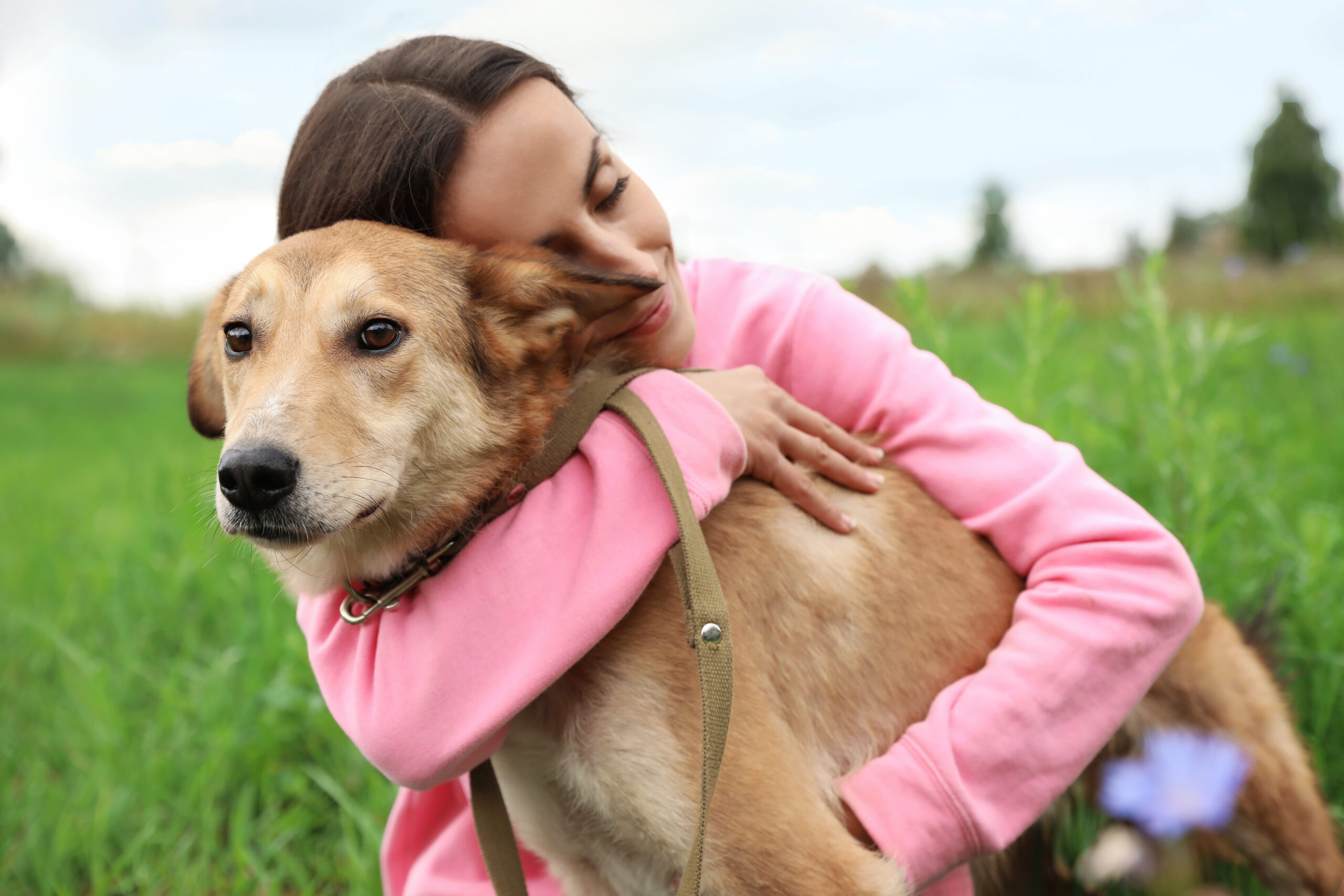 Female volunteer with homeless dog at animal shelter outdoors