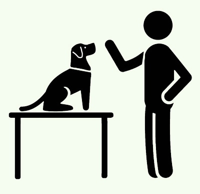 MT_Icon_Hands-on-Training