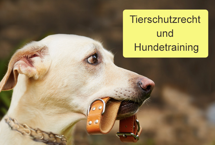 LL_Tierschutzrecht_Hundetraining_CC Kopie