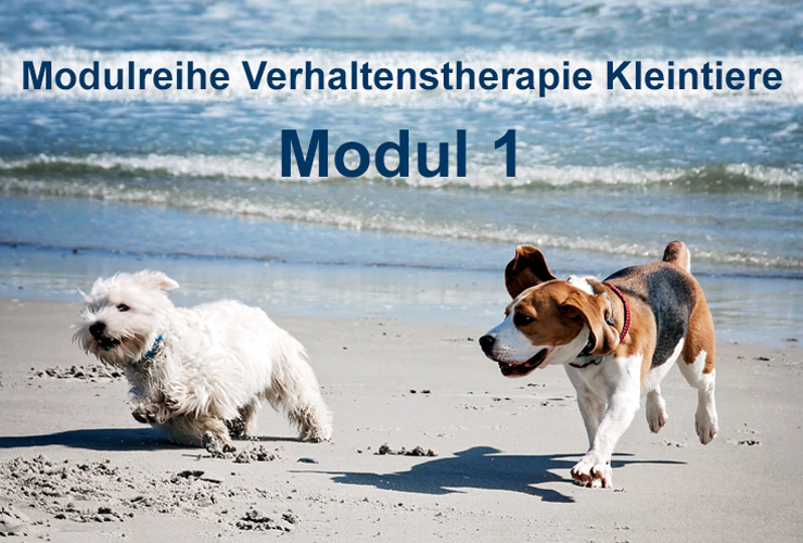 LL_VT_Modul_1_CC