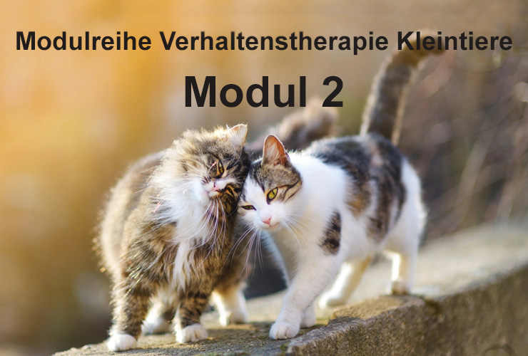 LL_VT_Modul_2_CC