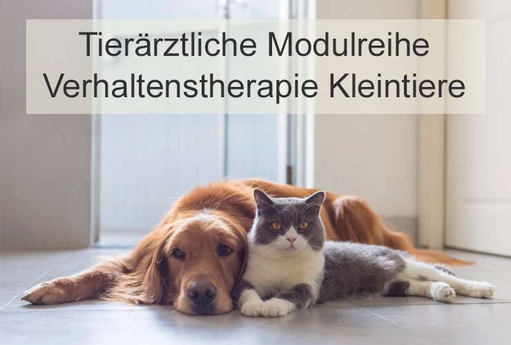 LL_VT_Modulreihe_CC